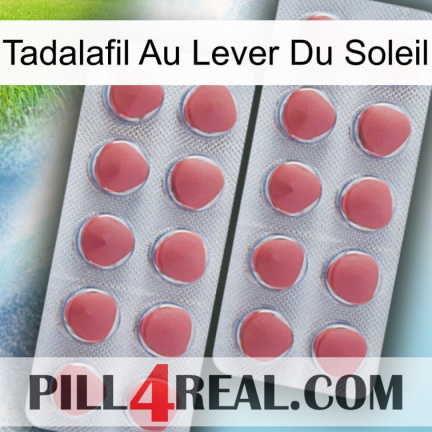Sunrise Tadalafil 19